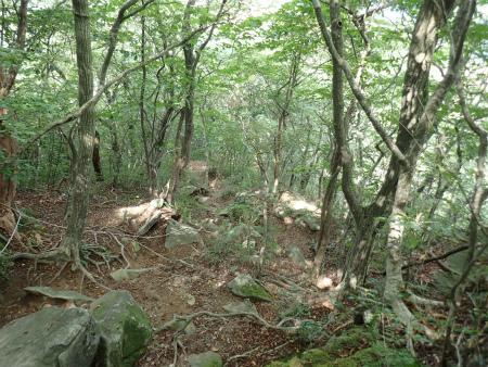 d0182075_03124997.jpg