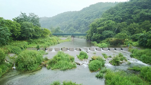 e0020682_22452596.jpg