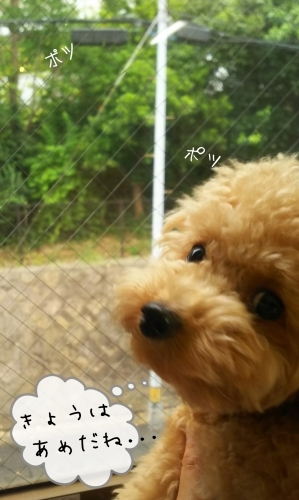 トレーニングブログ_f0357682_21531976.jpg