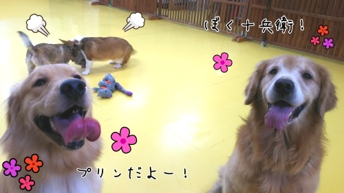 トレーニングブログ_f0357682_21574354.jpg