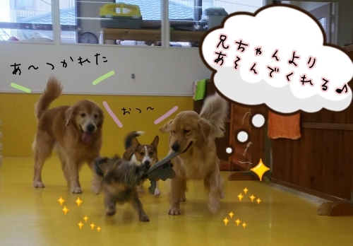 トレーニングブログ_f0357682_22081386.jpg