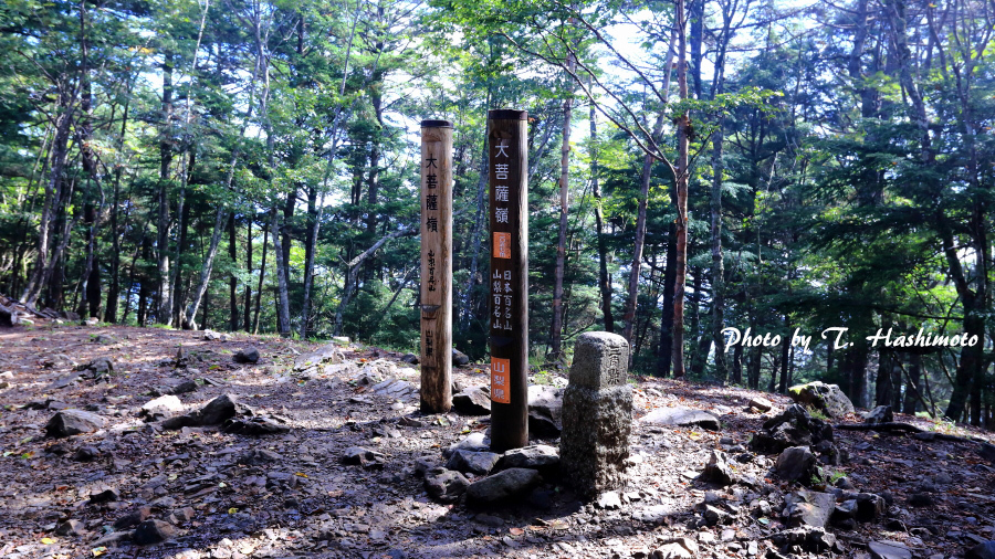 d0334006_11093029.jpg