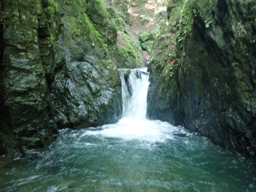 d0342206_17192880.jpg