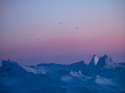 e0131413_11504437.jpg
