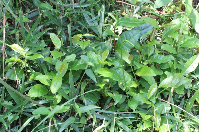 b0220318_07343483.jpg