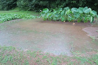 大雨洪水警報_e0081218_15043800.jpg