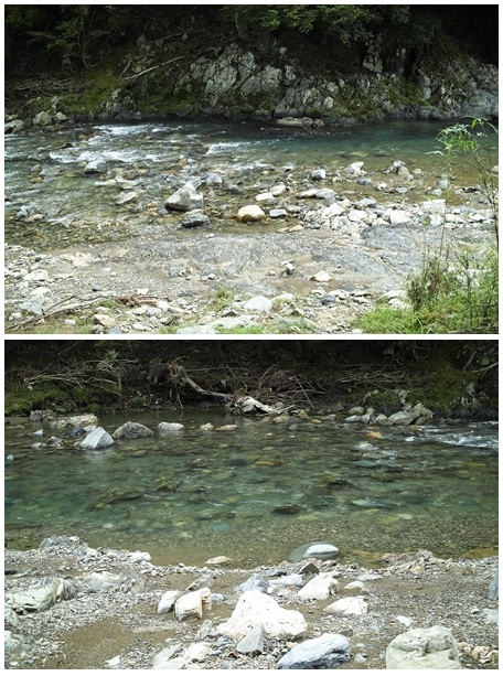 c0044819_75415.jpg