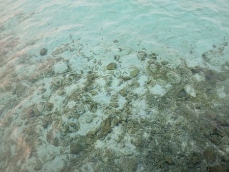 e0387424_09350714.jpg