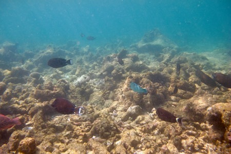 e0387424_09350869.jpg