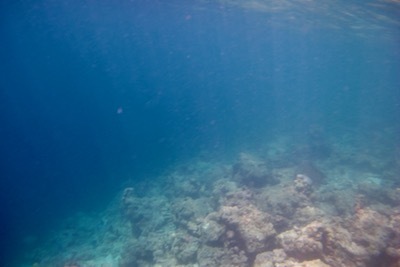 e0387424_09350870.jpg