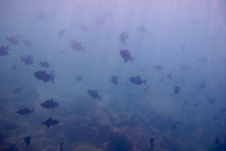 e0387424_09350879.jpg