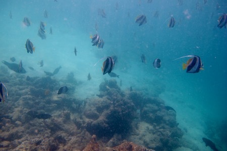 e0387424_09352819.jpg
