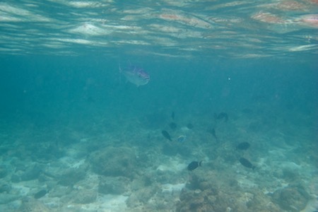 e0387424_09355041.jpg