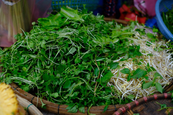 「ベトナム・ホイアンまとめ　ホイアン市場の食材」_a0000029_22080099.jpg