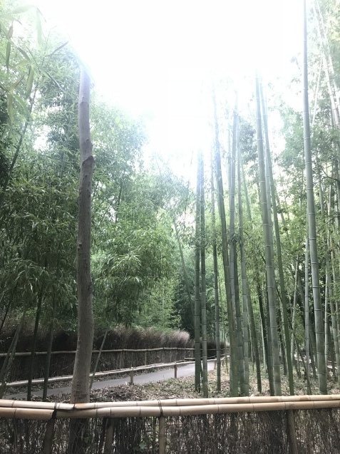 f0223329_00410284.jpeg