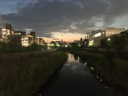 b0330040_15251740.jpeg