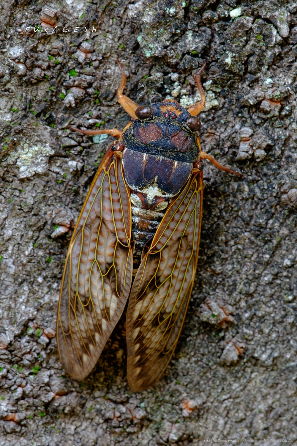d0292540_00300642.jpg