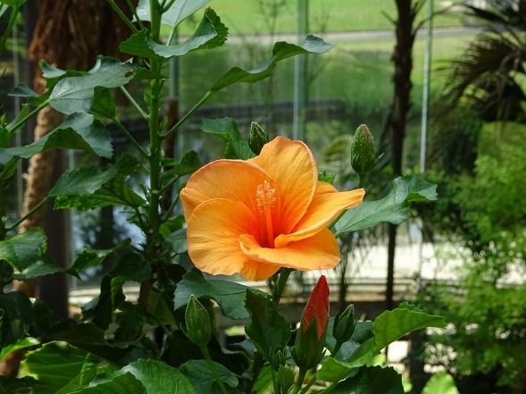 b0299042_11055000.jpg