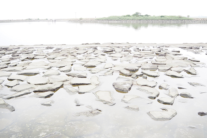葛西臨海公園_b0049843_853181.jpg