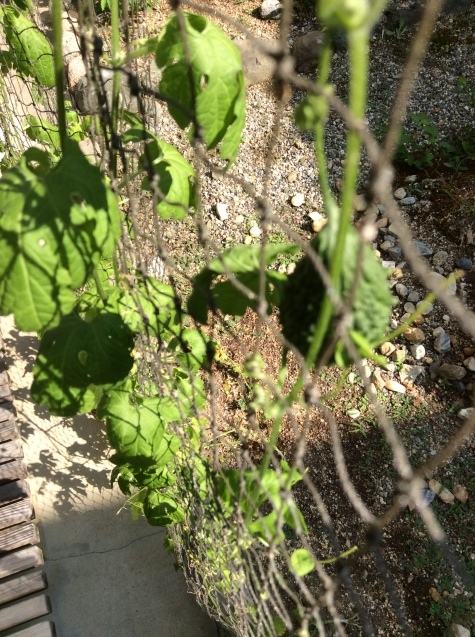a0307846_13074211.jpeg