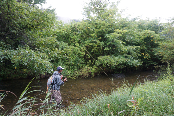 開田高原渓流釣行_a0370449_08242787.jpg