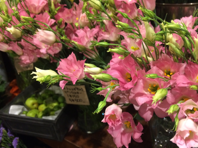 トルコギキョウ ピンクスター 目黒区 都立大の 花屋 Moco 花と 植物で楽しい毎日 一人で全力で営業中