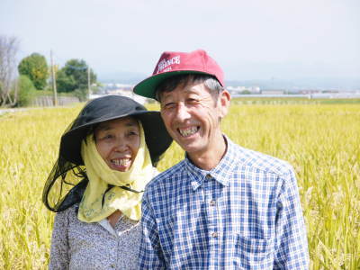 七城米　長尾農園　美しすぎる田んぼに、今年も順調にお米の花が咲きました（2018年）_a0254656_19391978.jpg