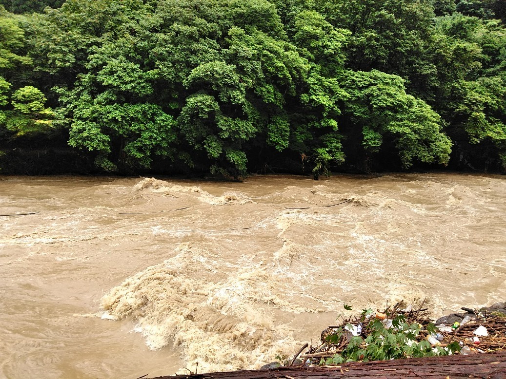 c0033567_21332396.jpg