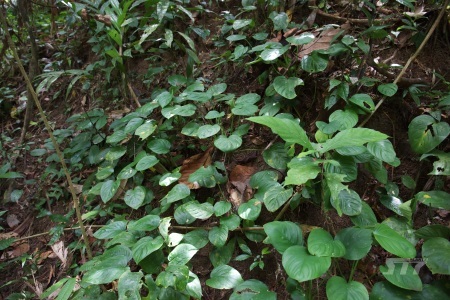 b0241778_11091081.jpeg
