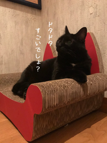 a0216583_20170011.png