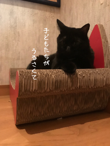 a0216583_20170449.png