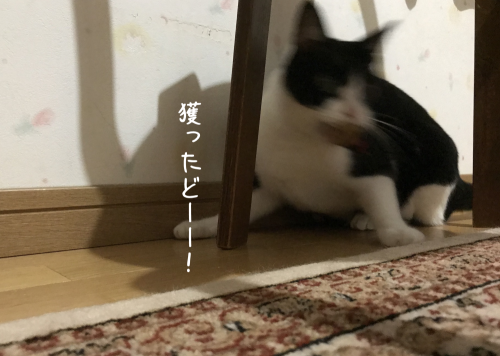 a0216583_20171619.png