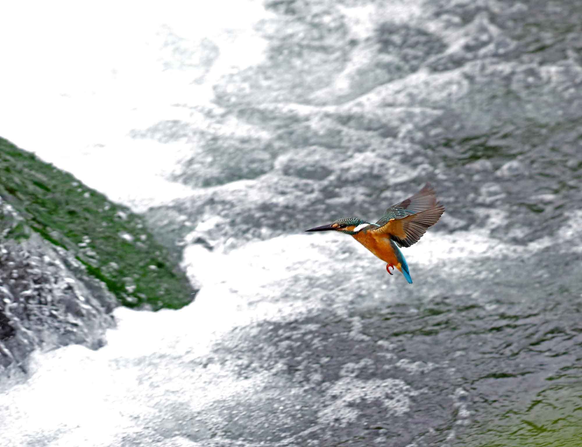 c0176183_17154255.jpg