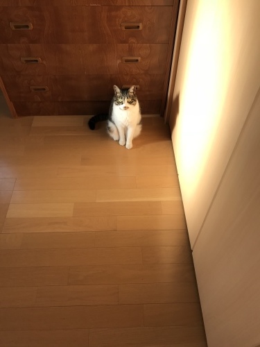 c0340786_09323701.jpeg