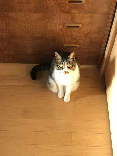 c0340786_09341767.jpeg
