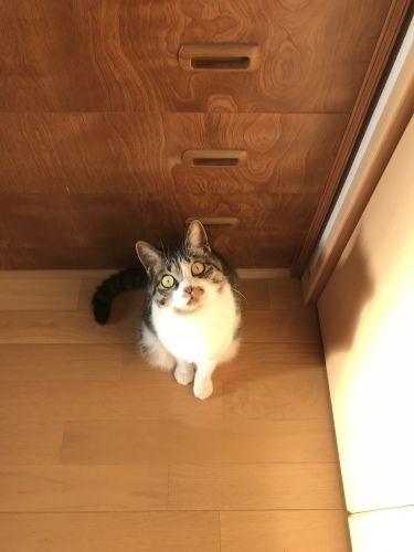 c0340786_09343838.jpeg