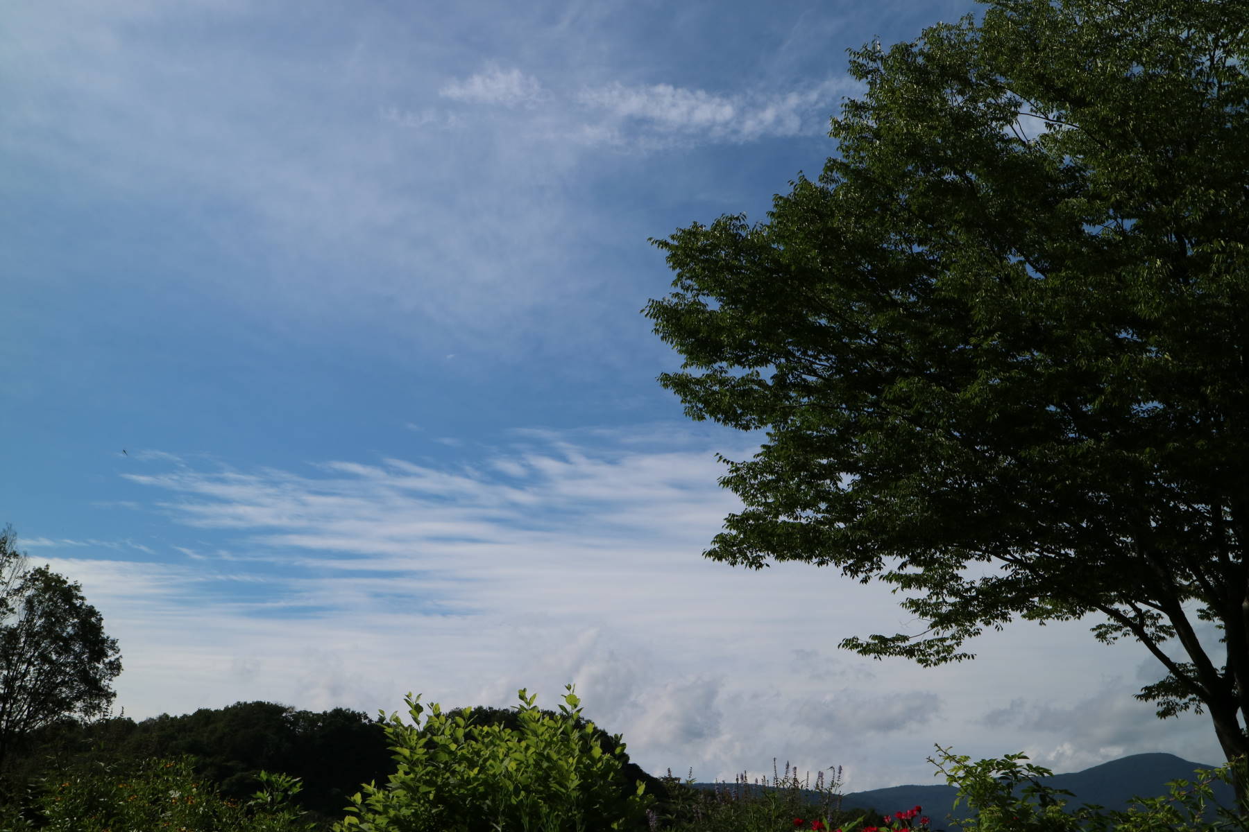 f0075595_14364258.jpg