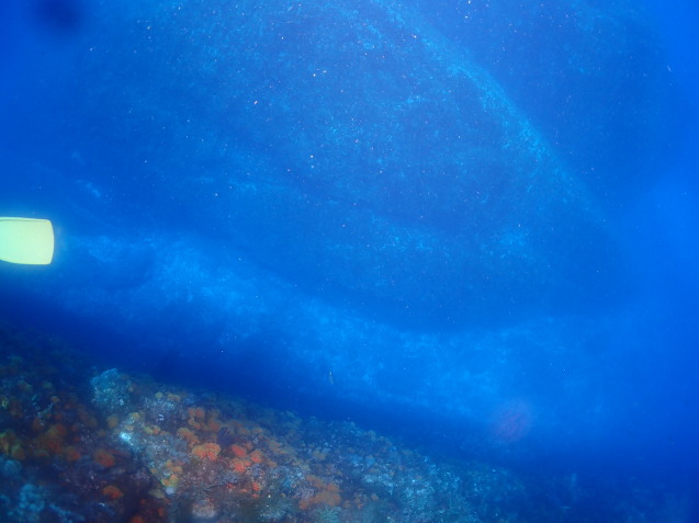 e0115199_15384411.jpg