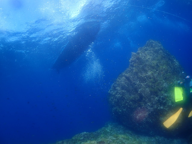 e0115199_15400605.jpg
