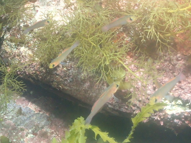 e0115199_16203939.jpg