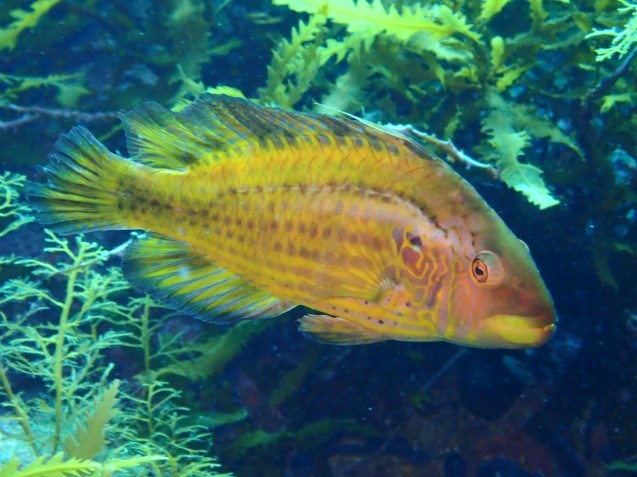 e0115199_16350150.jpg