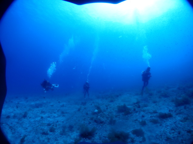 e0115199_17153560.jpg