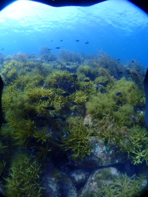 e0115199_17190305.jpg