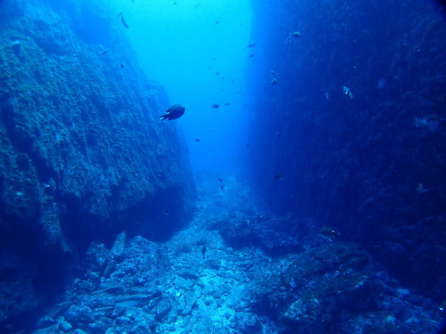 e0115199_17265349.jpg