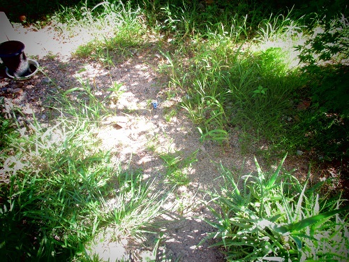 c0351306_09320870.jpg