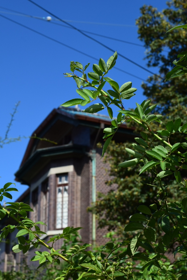 埼玉県入間市の旧石川組製糸西洋館(大正モダン建築再訪)_f0142606_09003425.jpg