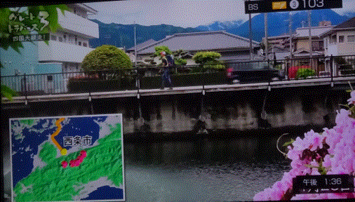 f0231709_19524924.gif