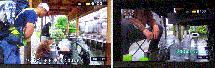 f0231709_19580039.gif
