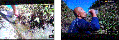 f0231709_20221960.gif