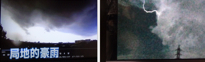 f0231709_21562619.gif